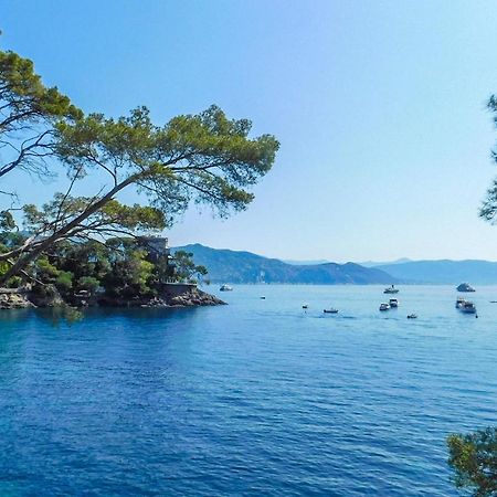 Apartament Mimosa Rapallo Zewnętrze zdjęcie